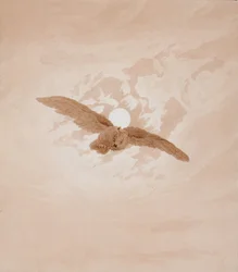Búho volando contra un cielo iluminado por la luna
